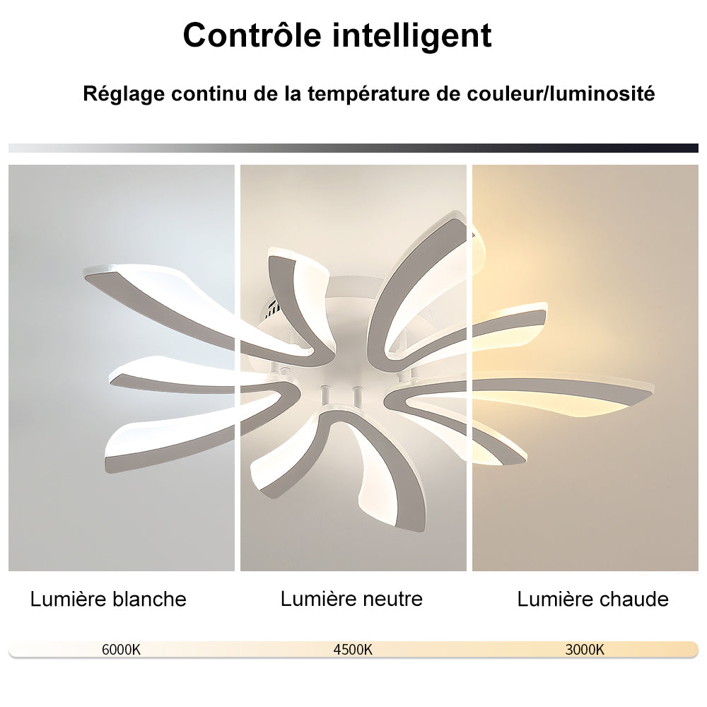 Schéma des effets d'éclairage au plafond