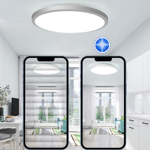 Luz de techo LED regulable RGB 3000K-6500K Luz de techo LED redonda para baño IP54 impermeable para baño, dormitorio, sala de estar, cocina ?30CM